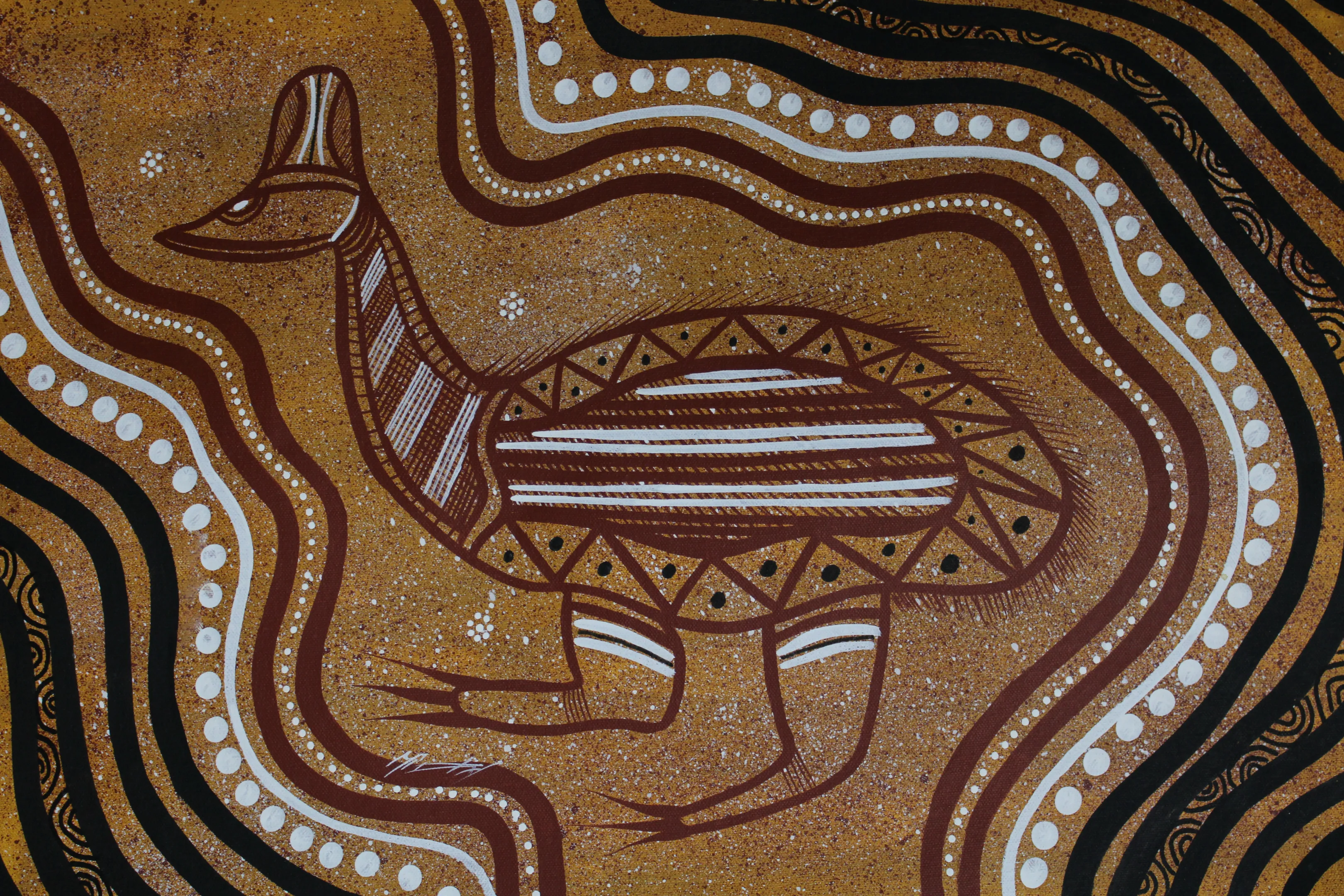 kimberley indigenous art painting